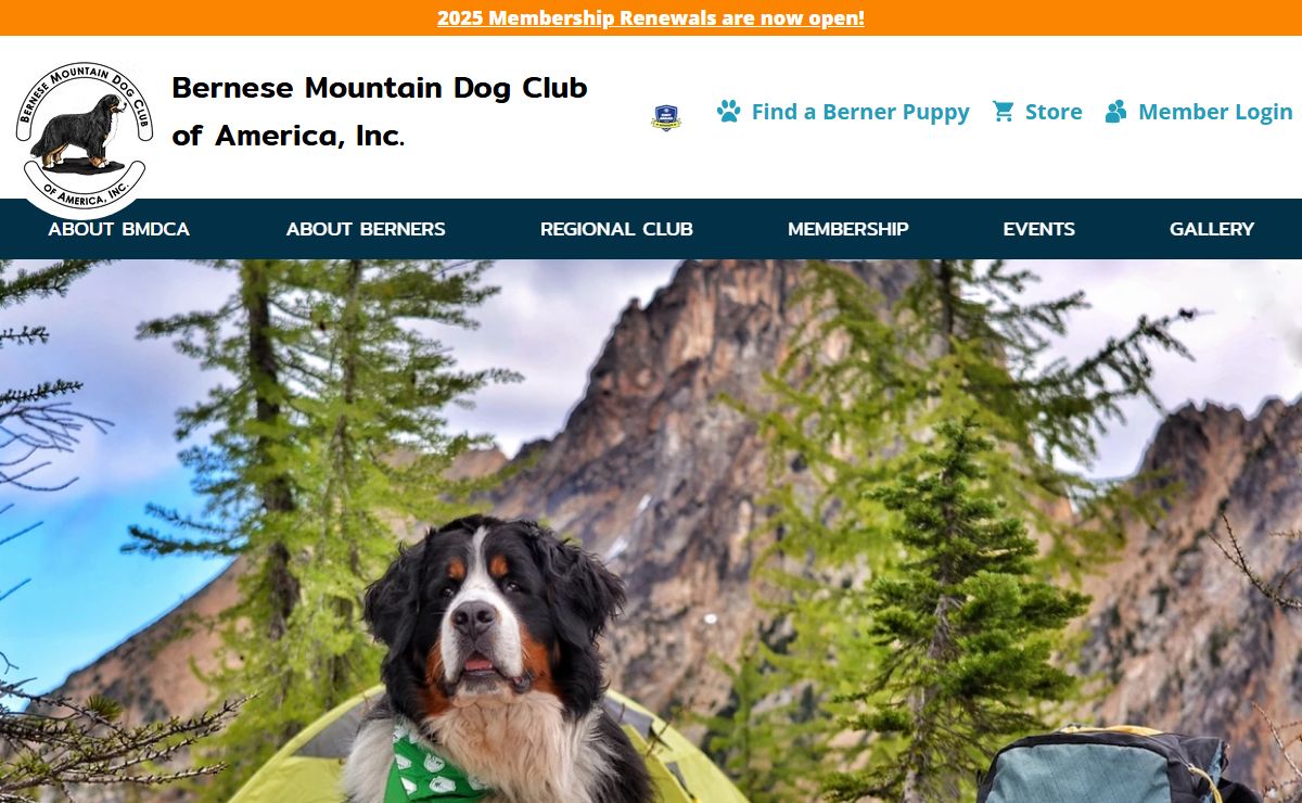 Bernese Mountain Dog Club of America (BMDCA) a network for Regional Clubs and Owners