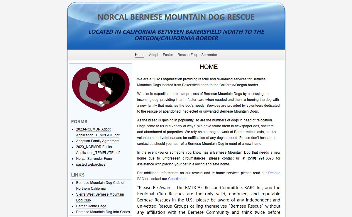 Home | Norcal BERNESE MOUNTAIN DOG Rescue