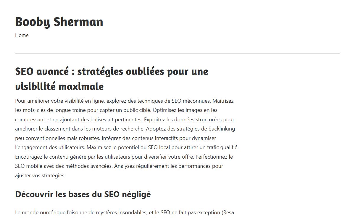 SEO avancé : stratégies oubliées pour une visibilité maximale - Booby Sherman