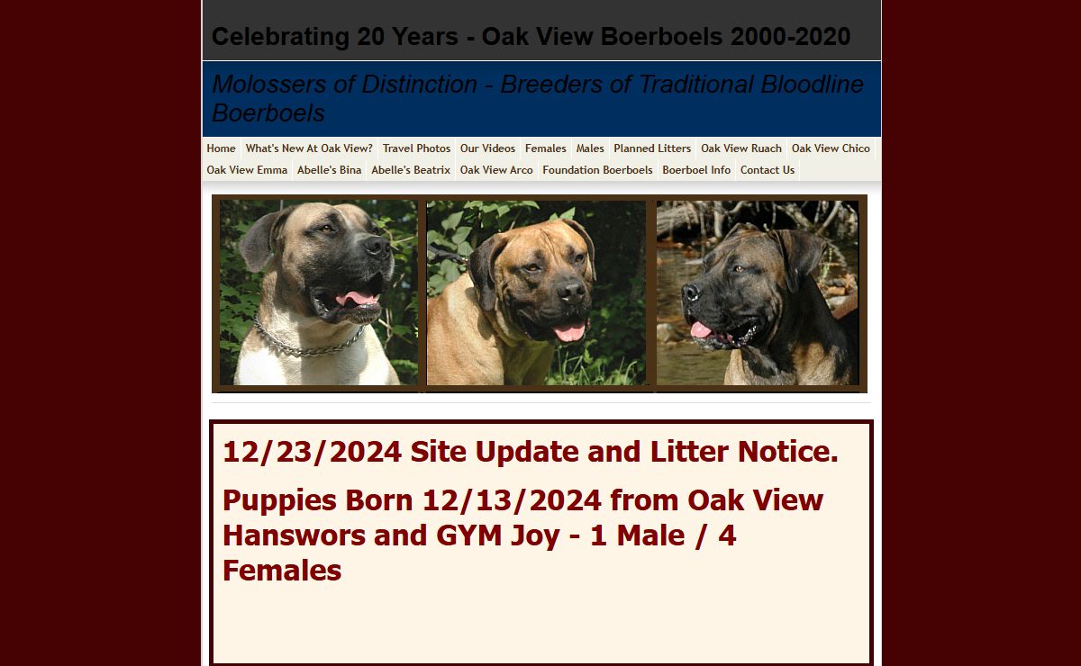 Boerboel Breeder - Oak View Boerboels USA