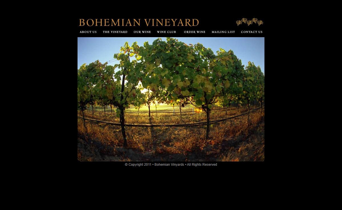 :: Bohemian Vinyard ::