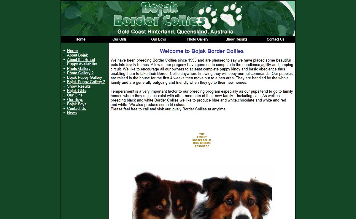 Home - Bojak Border Collies