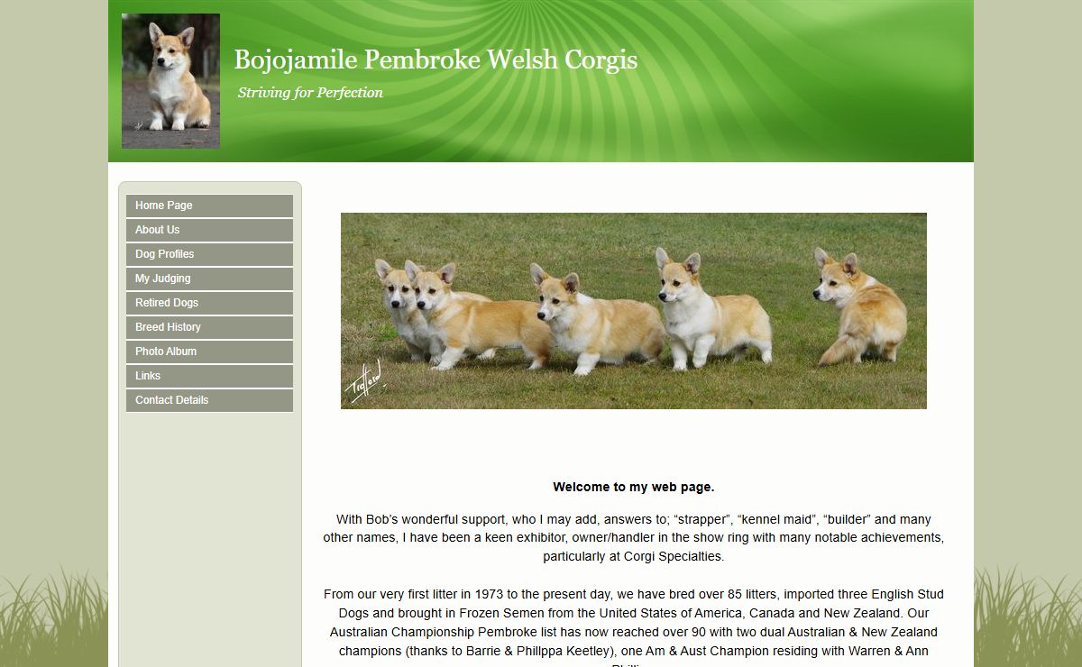 Bojojamile Pembroke Welsh Corgis