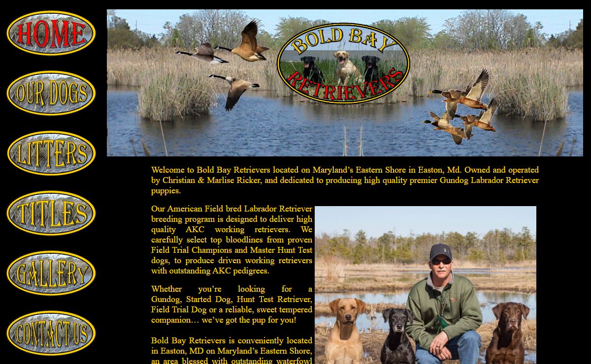 Bold Bay Retrievers, Labrador Retriever Breeder in Maryland