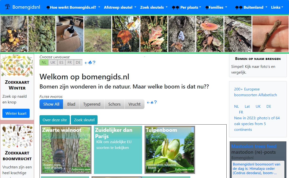 European treeguide Bomengids.nl, partly in 5 languages: Deutsch, Spanish, Francais, English, Dutch