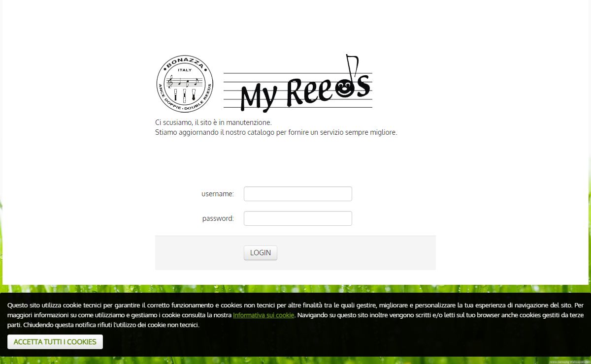 My Reeds- Bonazza Stefano - Laboratorio specializzato in ance doppie