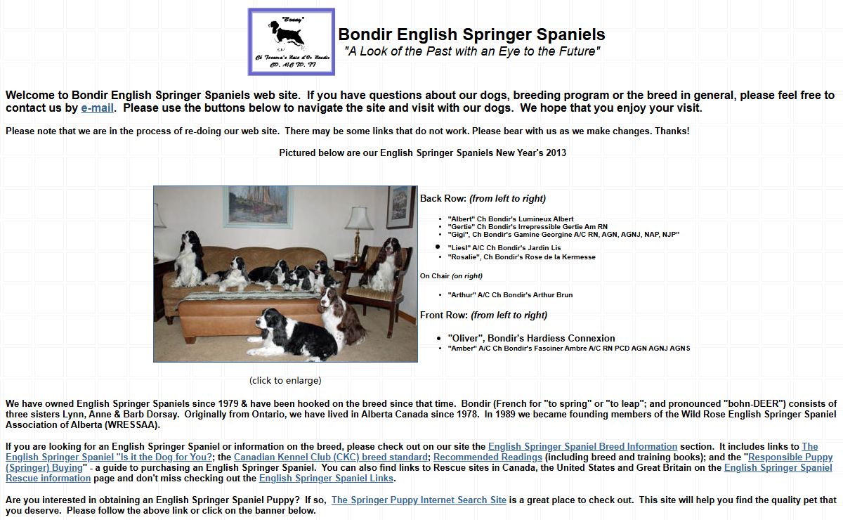 Bondir English Springer Spaniels Web Site