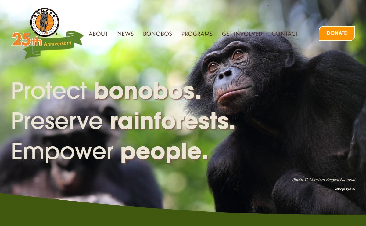BONOBO