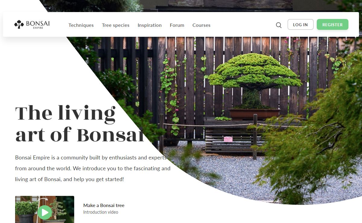 Growing and caring for a Bonsai tree - Bonsai Empire