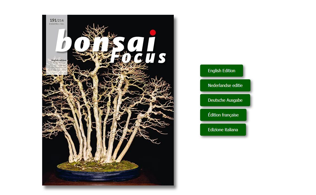 Bonsai Focus – International Magazine