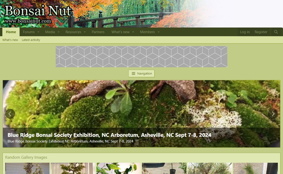 Home Page | Bonsai Nut