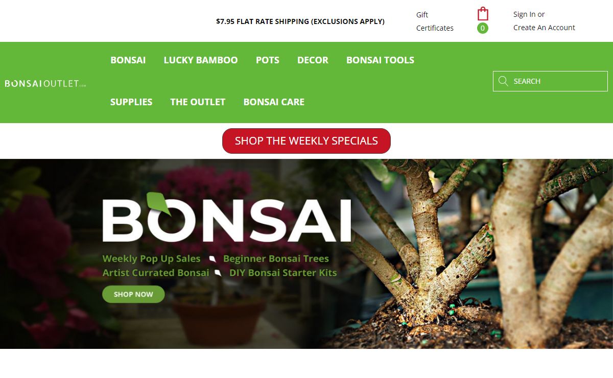 Buy Bonsai Trees: Bonsai Tree Care at BonsaiOutlet.com