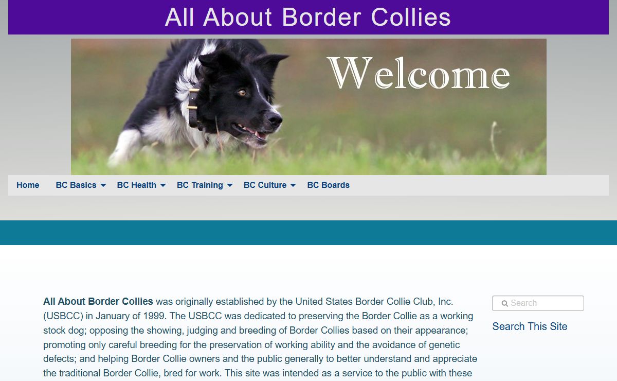 Home | All About Border Collies