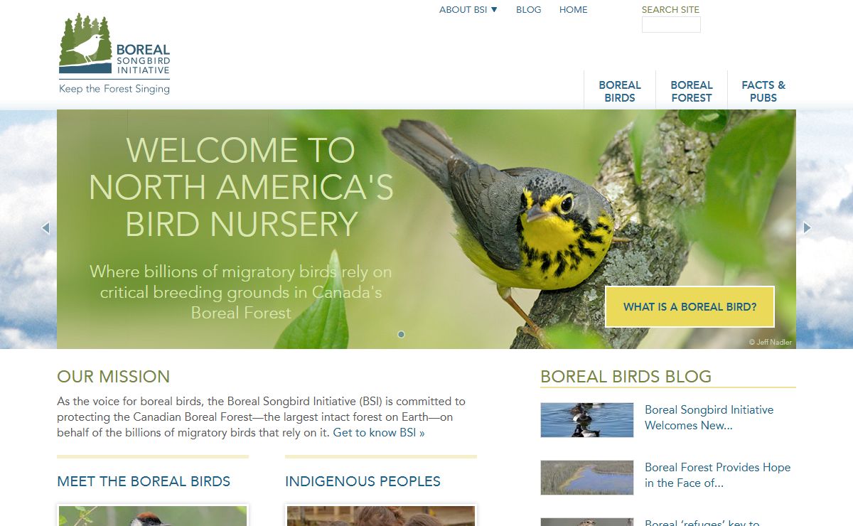 Bird Conservation | Boreal Songbird Initiative