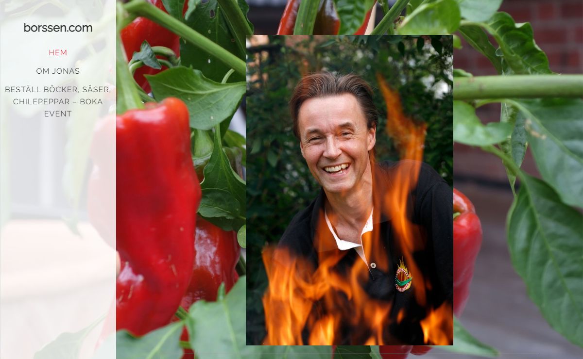 borssen.com
