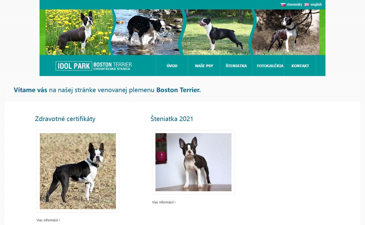 Úvod | Idol Park | Boston Terrier | chovateľská stanica