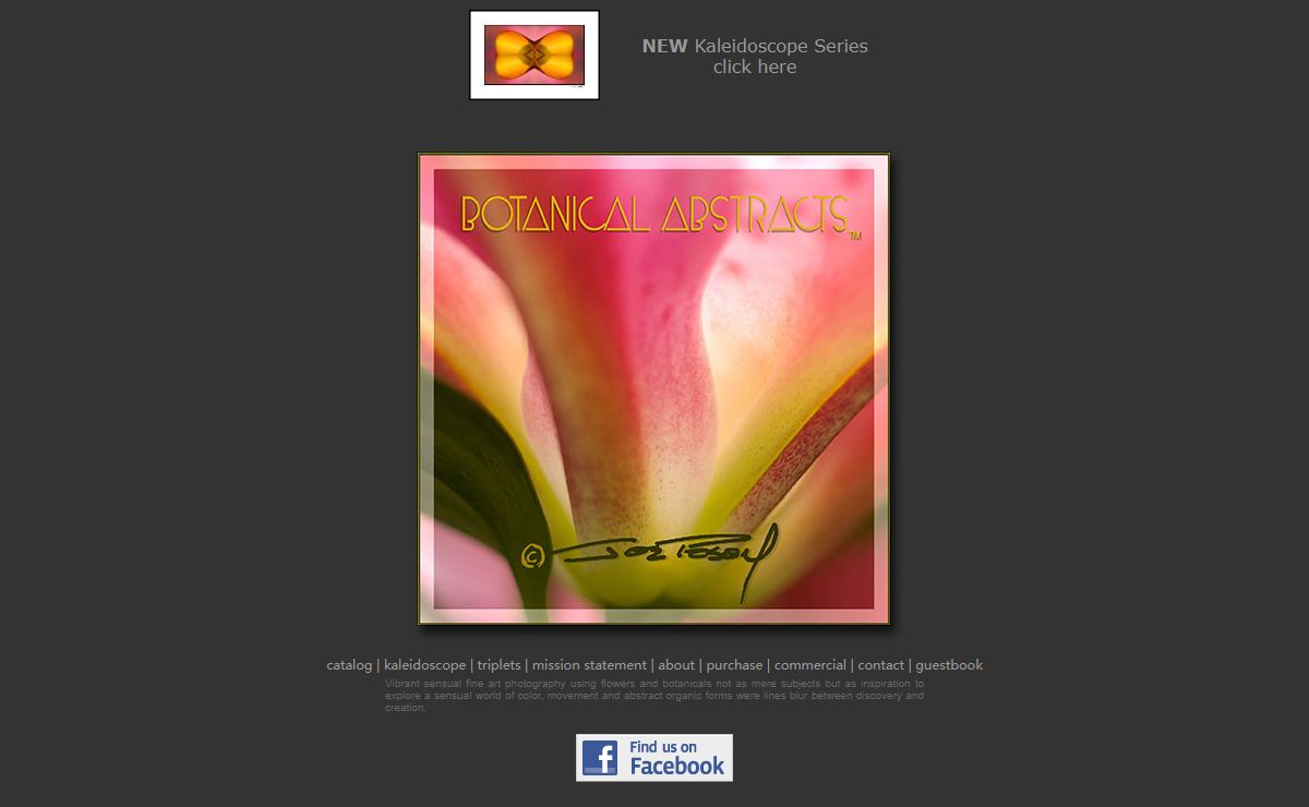 Paban Photo - Botanical Abstracts - Fine Art Photography - Flowers - Gallery