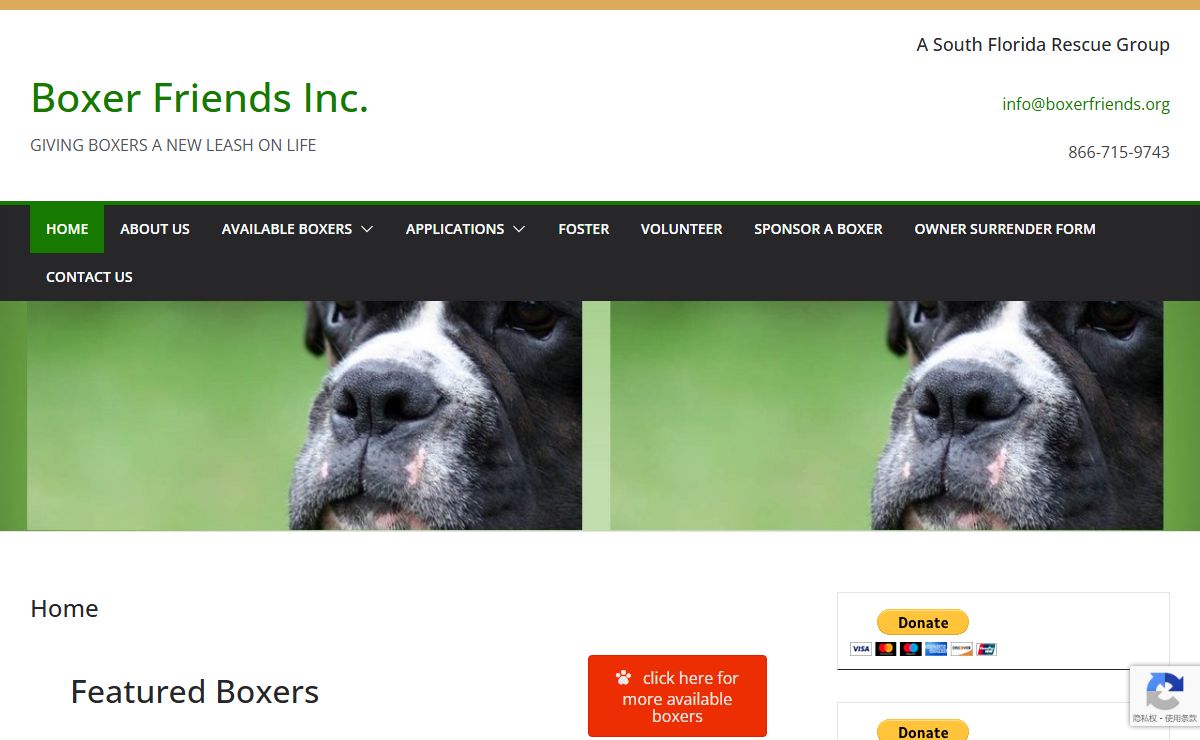 Boxer Friends Inc. – GIVING BOXERS A NEW LEASH ON LIFE