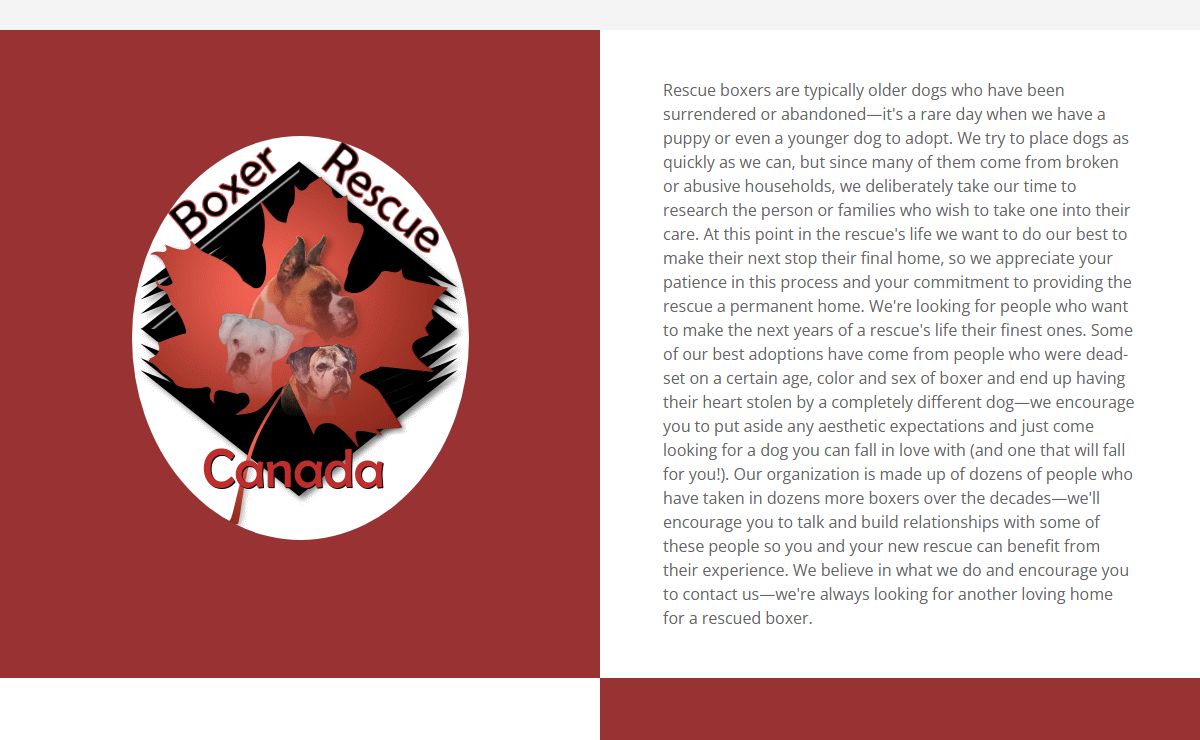 Boxer Rescue Canada