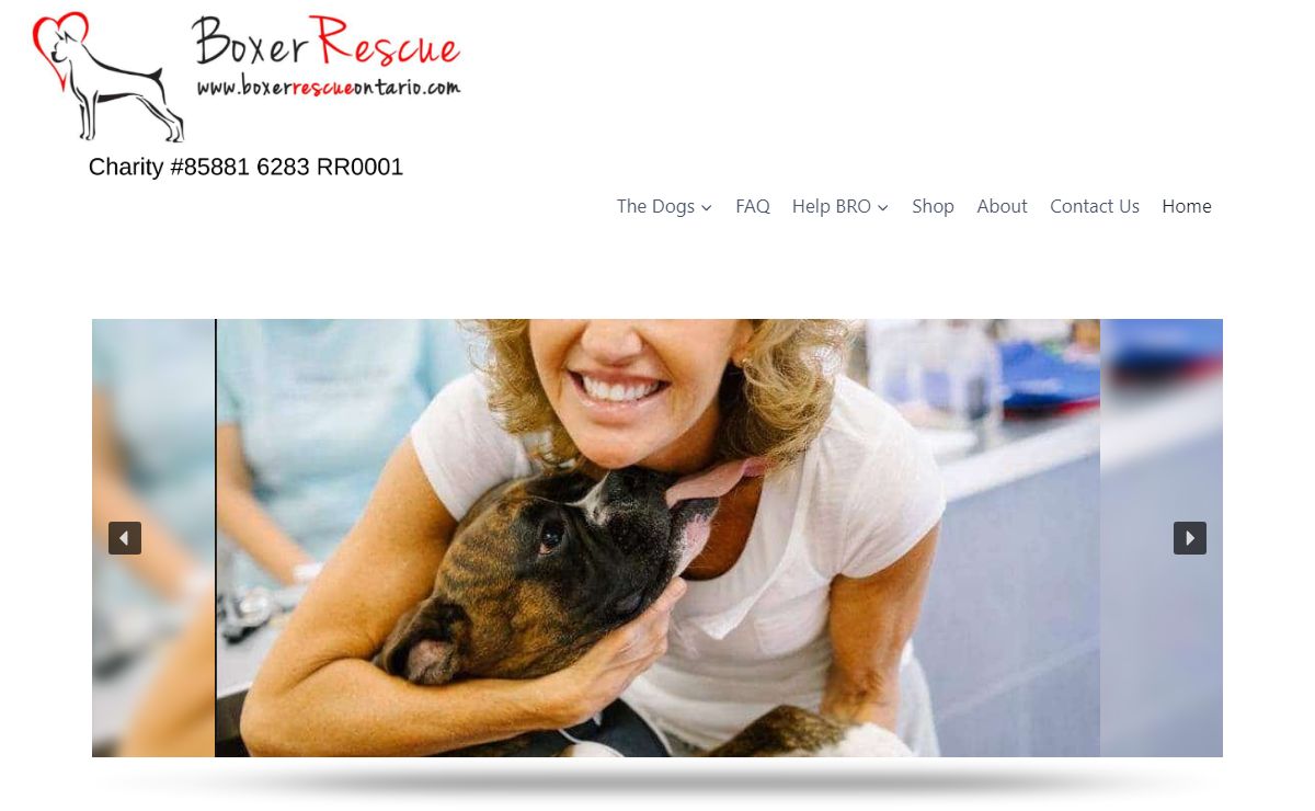 Boxer Rescue Ontario – Charity #85881 6283 RR0001