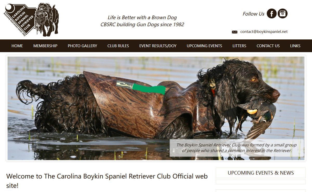 Carolina Boykin Spaniel Retriver Club