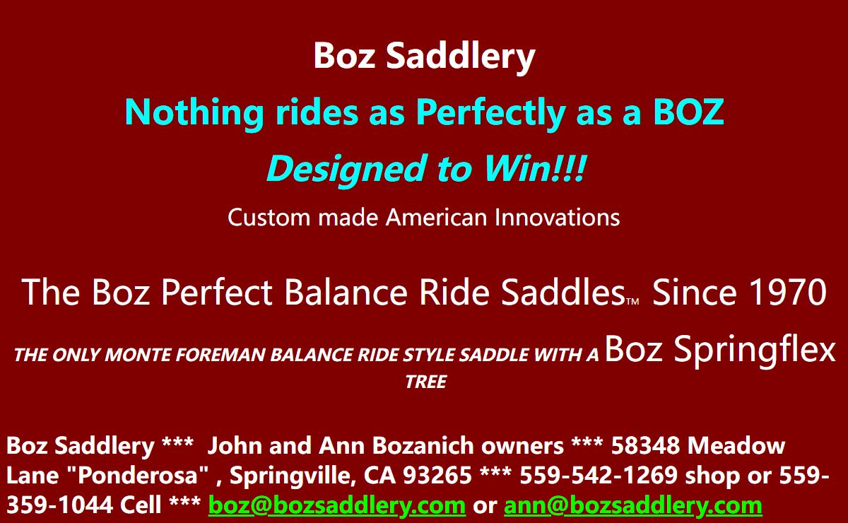 Active Balance Ride Saddles|Barrel Racing Saddles|Western Saddles|Custom Treeless Saddles|Dressage|Flexible Saddles|Endurance Saddles