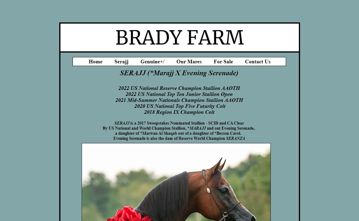 Arabian horses for sale | Brady Farm