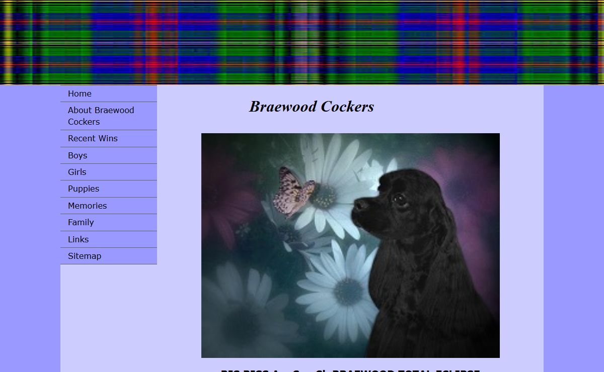 Braewood Cockers