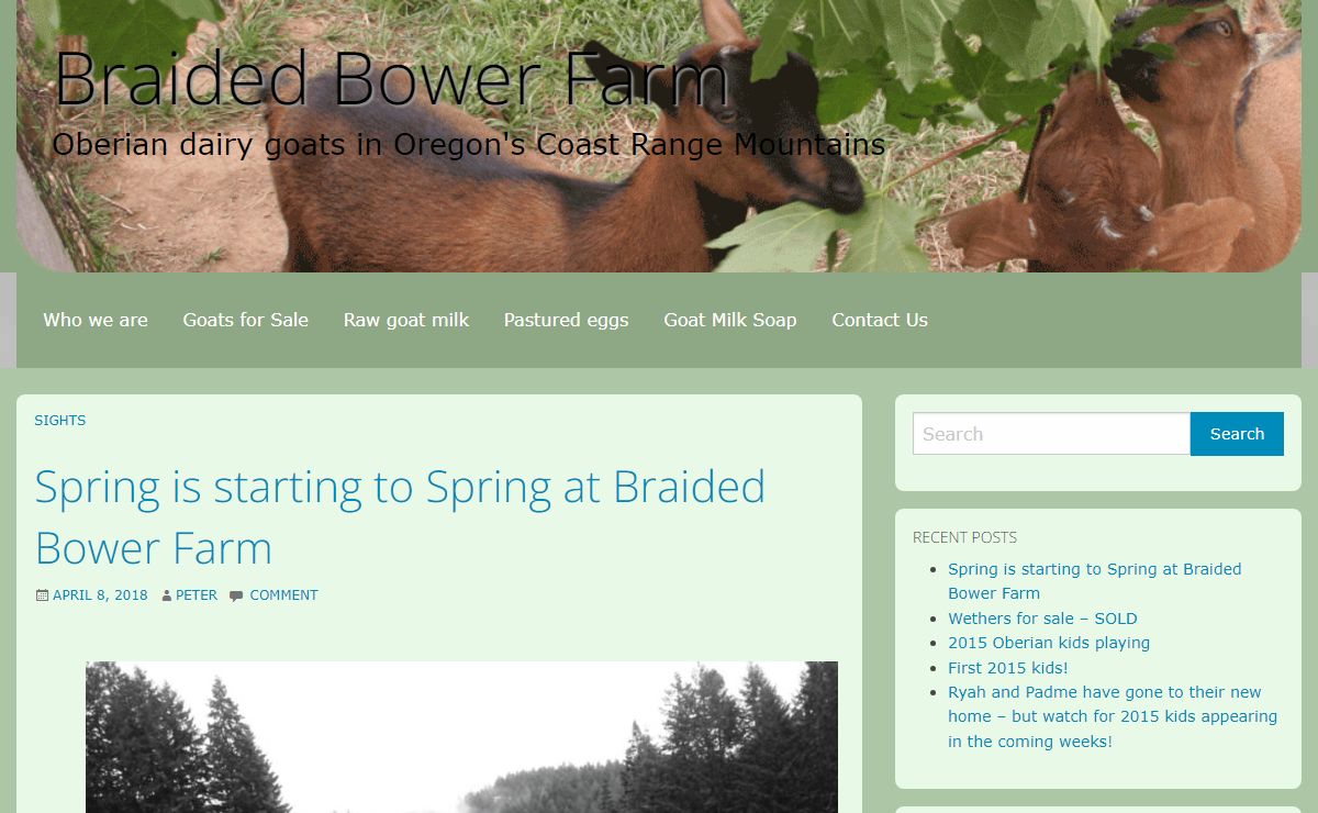 Braided Bower Farm – Oberian dairy goats in Oregon's Coast Range Mountains