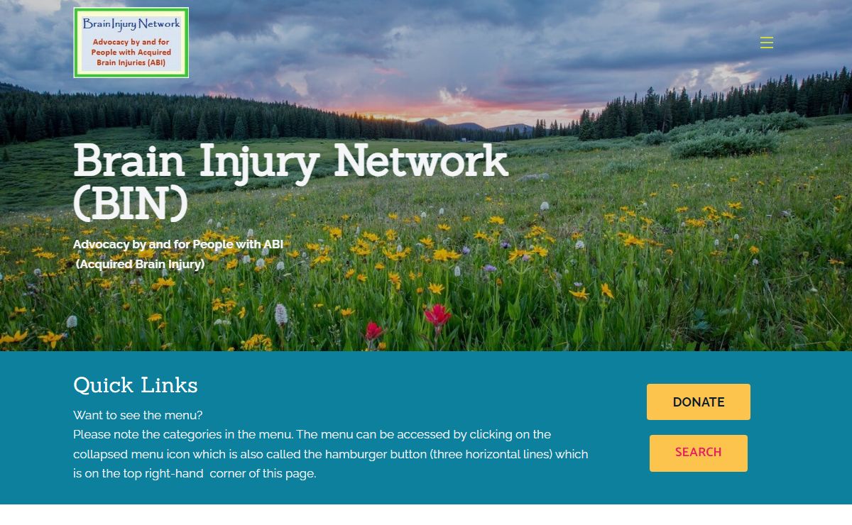 Brain Injury Network (BIN)