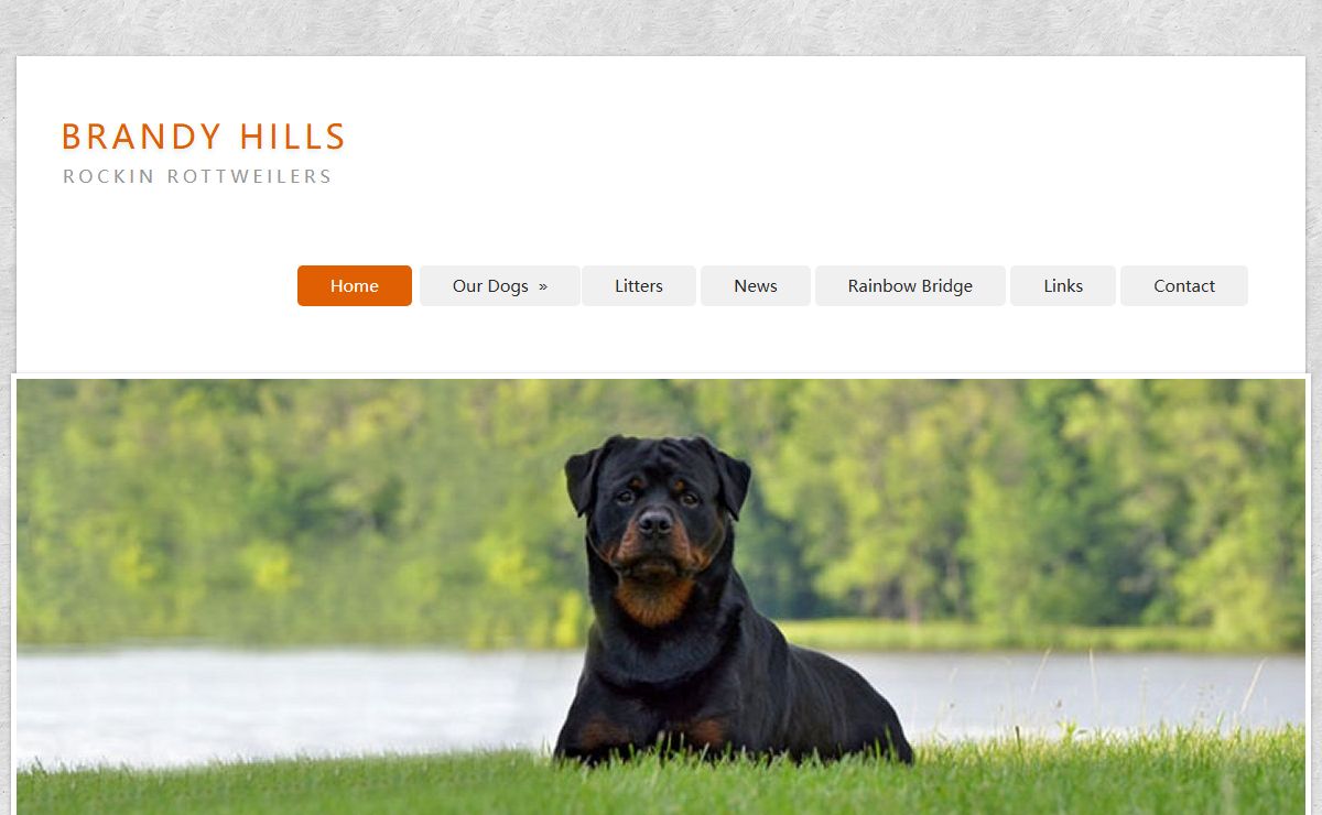 Brandy Hills Rockin Rottweilers - Rottweiler Breeders located in Torrington, Connecticut