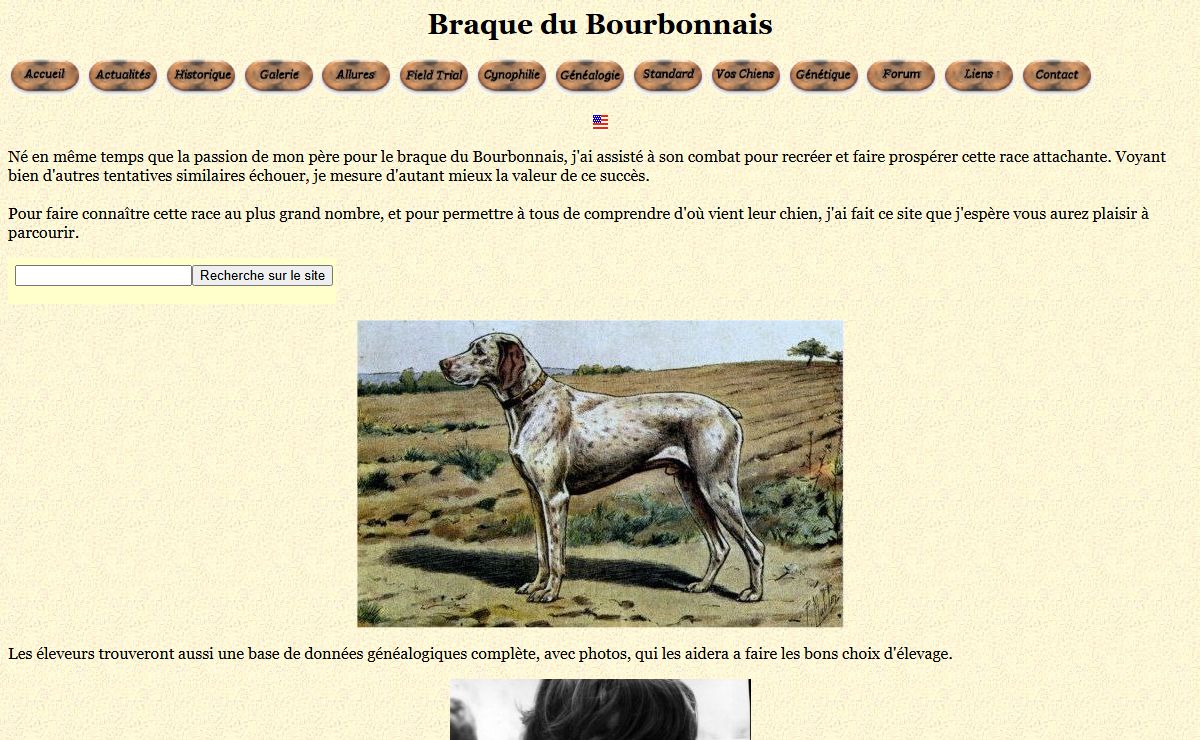 Braque du Bourbonnais