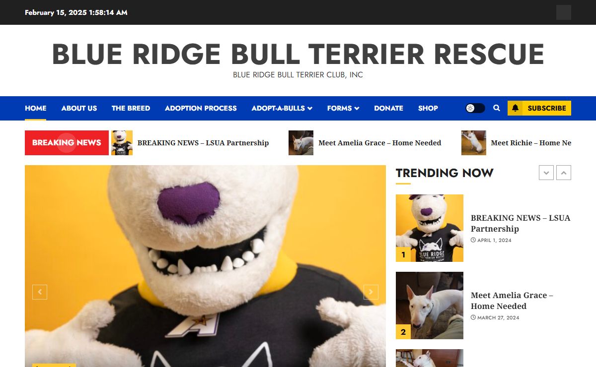Blue Ridge Bull Terrier Rescue – Blue Ridge Bull Terrier Club, Inc