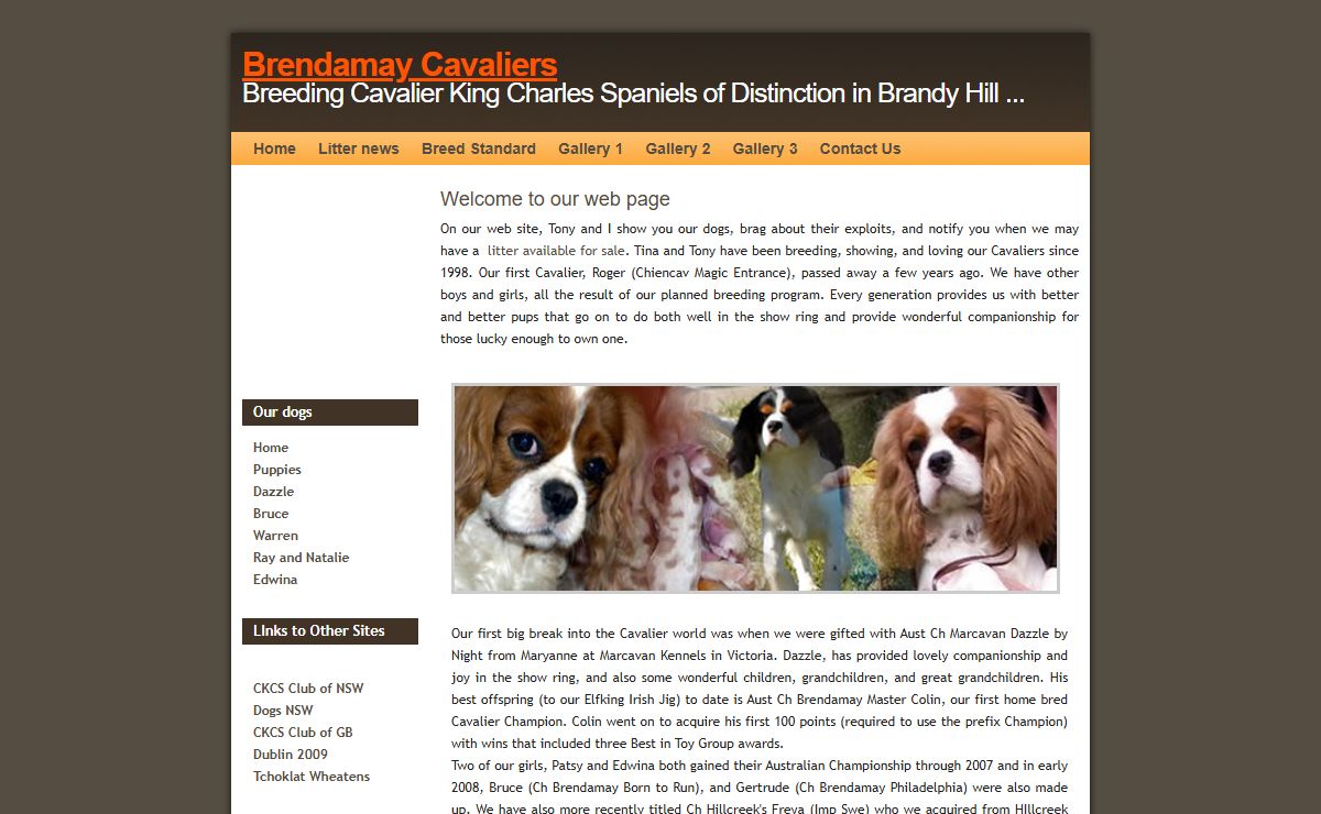 Brendamay Cavaliers