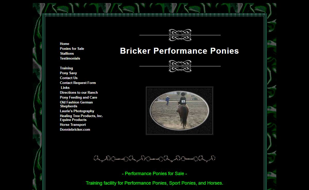 Bricker Performance Ponies - Ponies for Sale