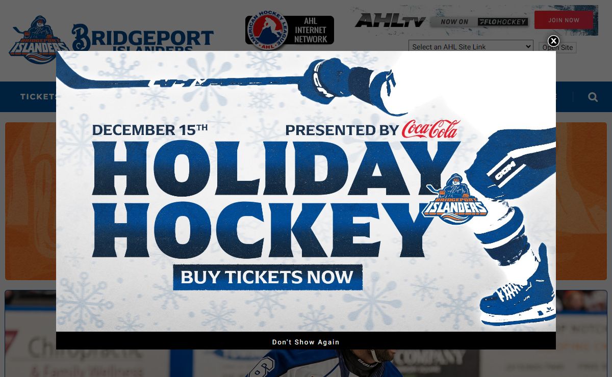 Bridgeport Islanders | Bridgeport Islanders