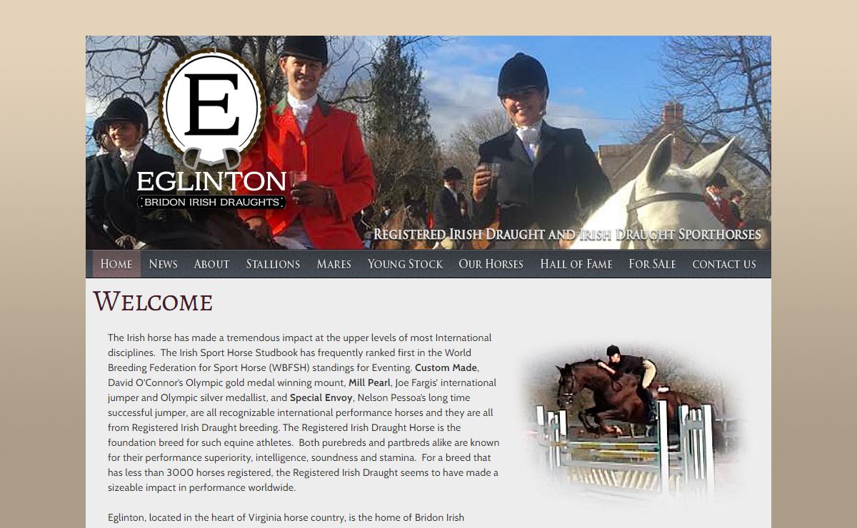 Bridon Irish Draught Horses and Sporthorses Breeders Horses for Sale Dressage Showjumping Eventing Hunter Jumper