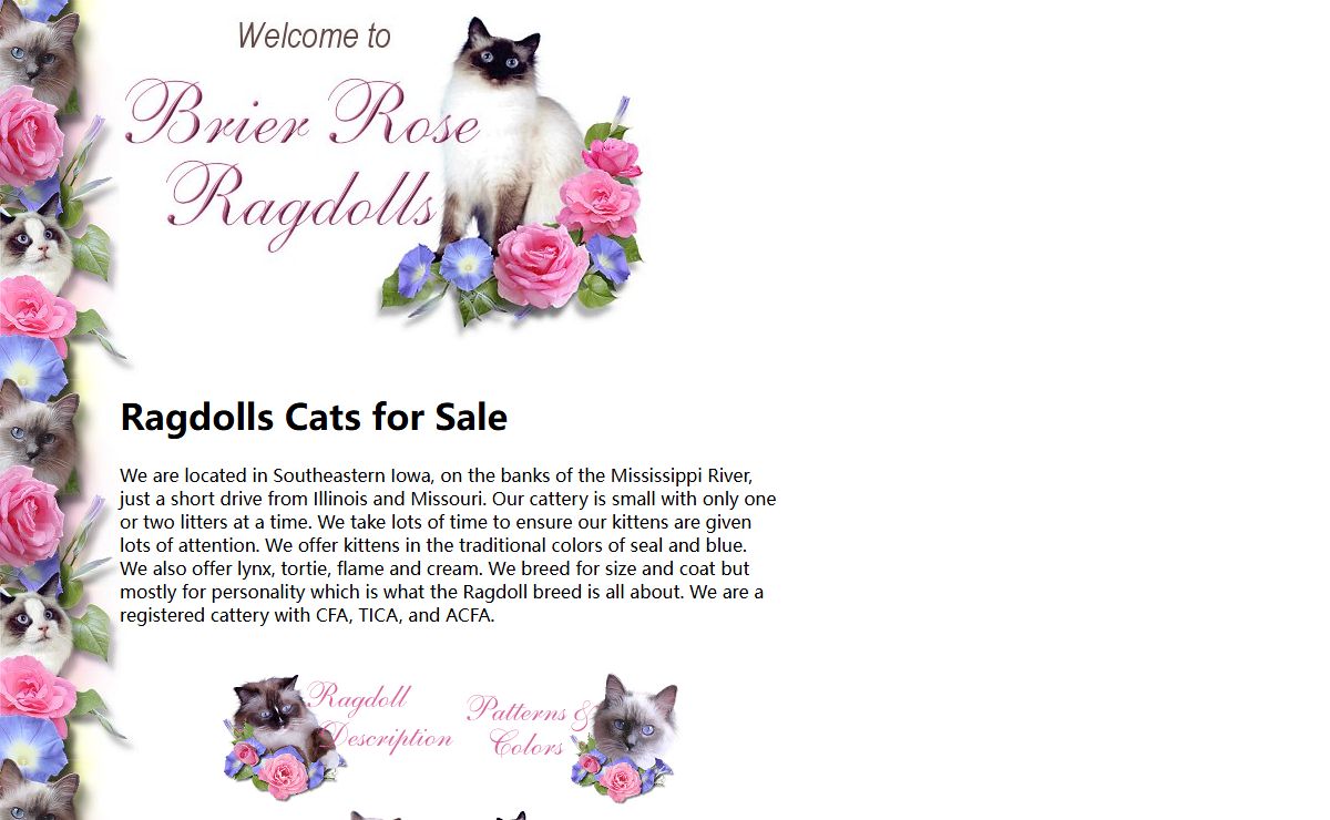 Ragdoll Kittens for Sale - TICA Registered Cat Breeder in Iowa | Brier Rose Ragdolls