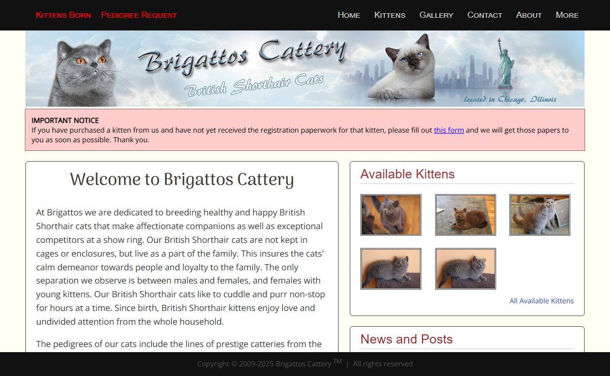 Welcome to Brigattos Cattery, located in Illinois, USA and specializing in breeding blue and lilac british shorthaired kittens
