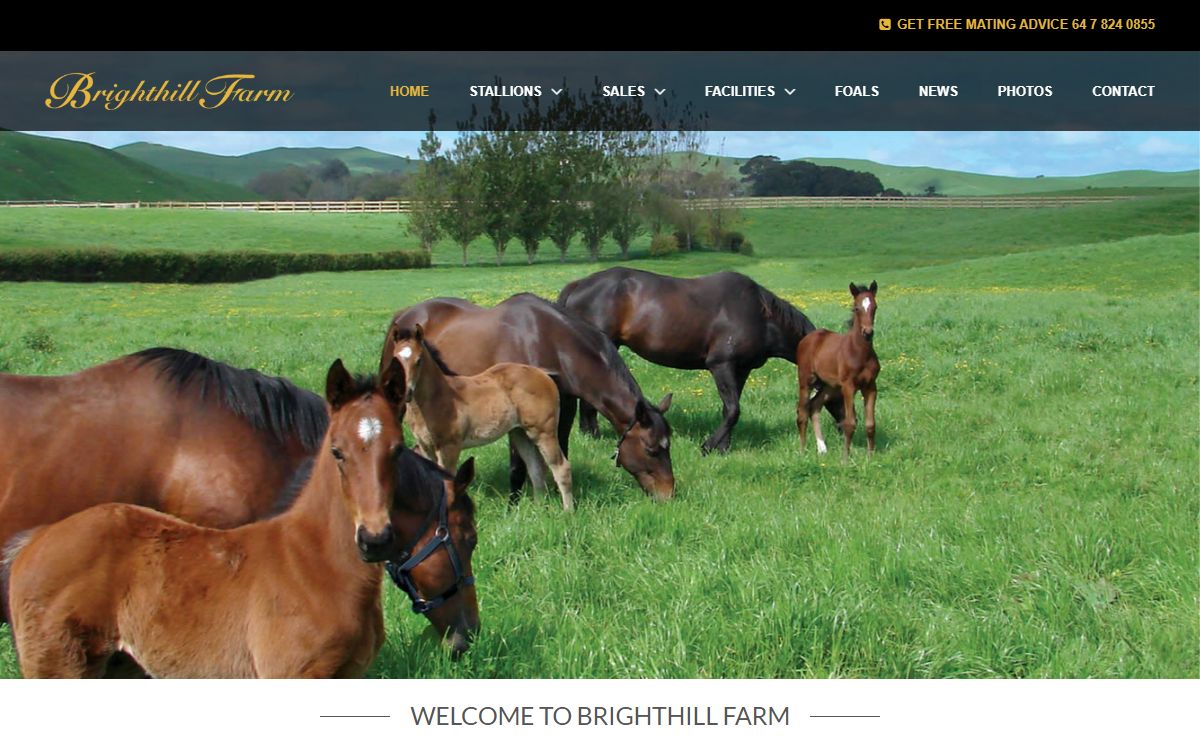 Brighthill Farm. Thoroughbred Stud. New Zealand.