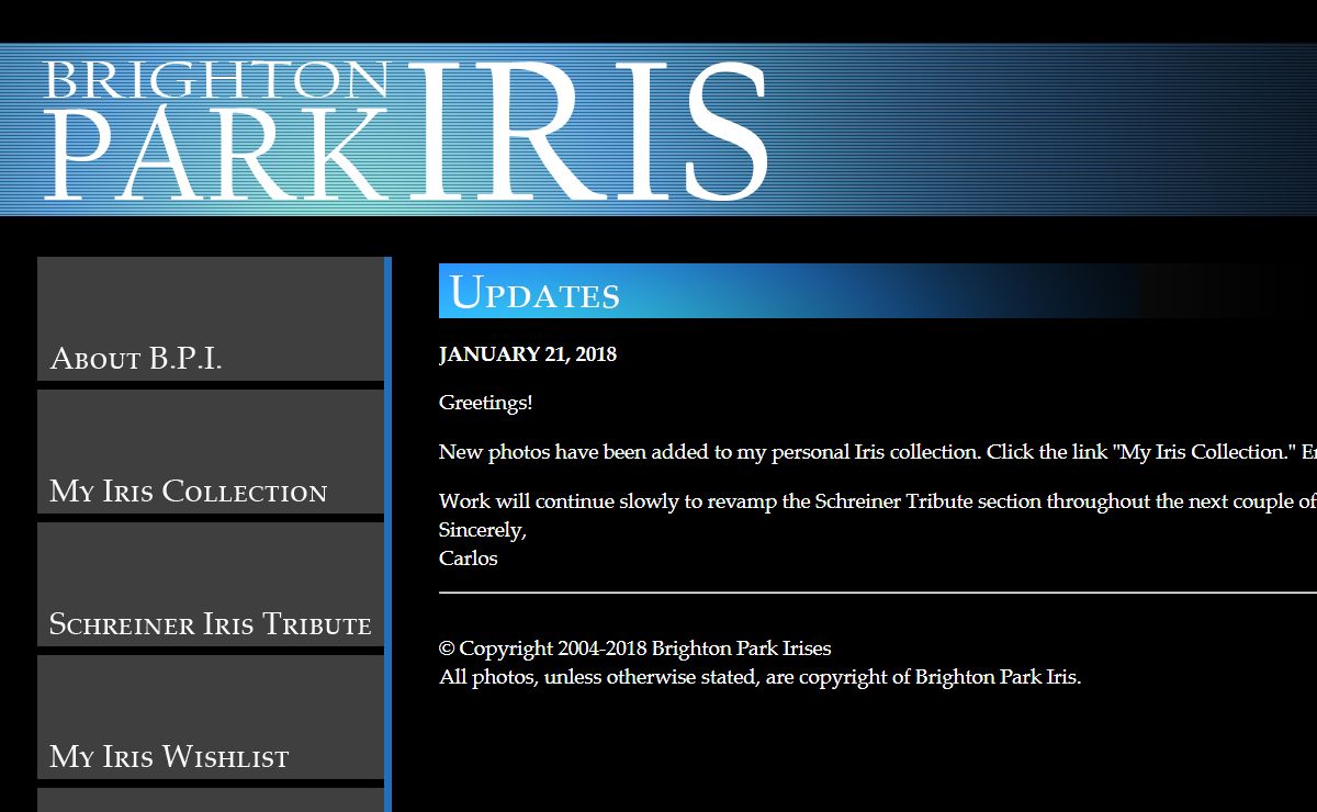 Brighton Park Iris