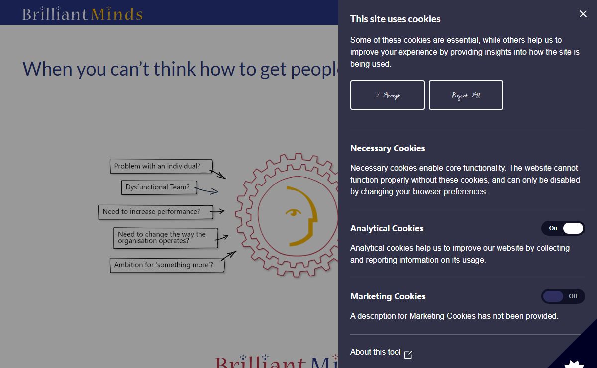 Brilliant Minds - Leadership and Engagement in Technical Environments