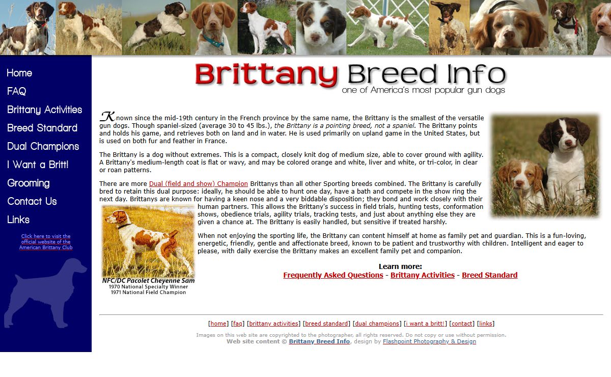 Brittany Breed Information, courtesy of Brittany Club members