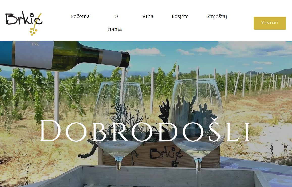 Početna - Vina Brkić