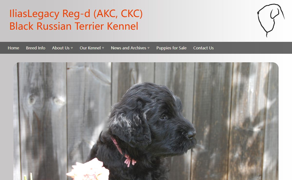 "Ilia's Legacy" Black Russian Terrier Kennel
