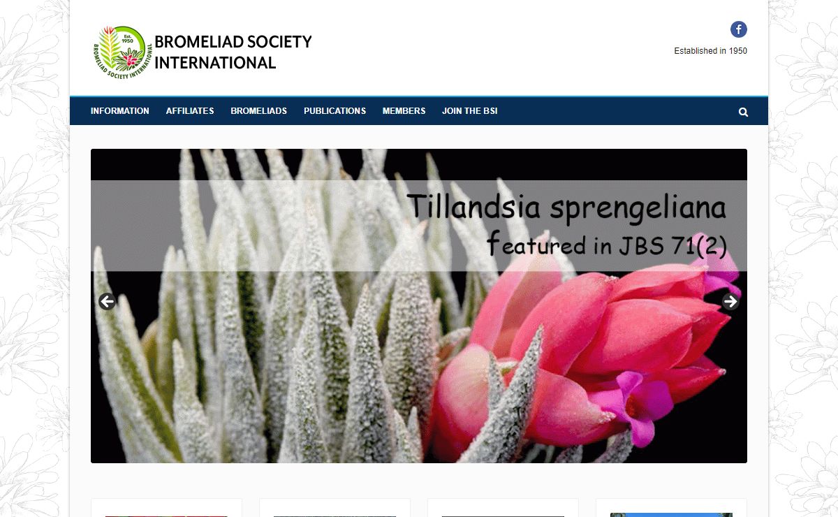 BSI | The Bromeliad Society International
