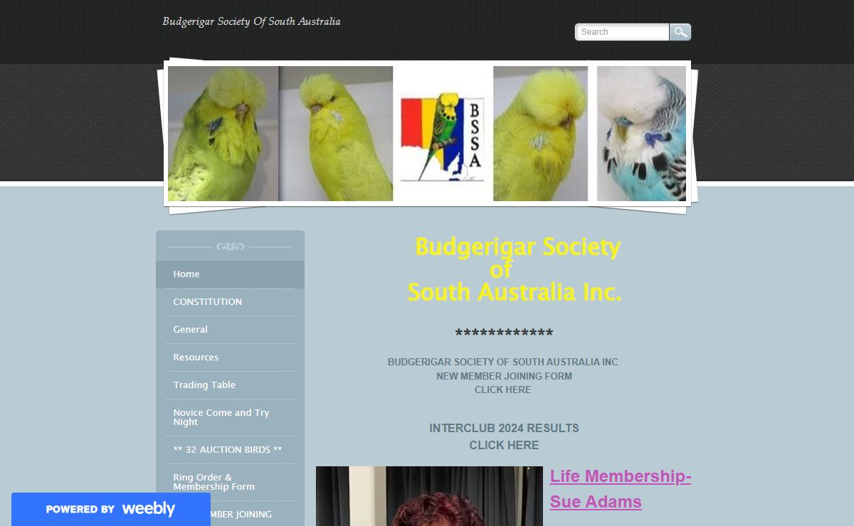 Budgerigar Society of South Australia - Home