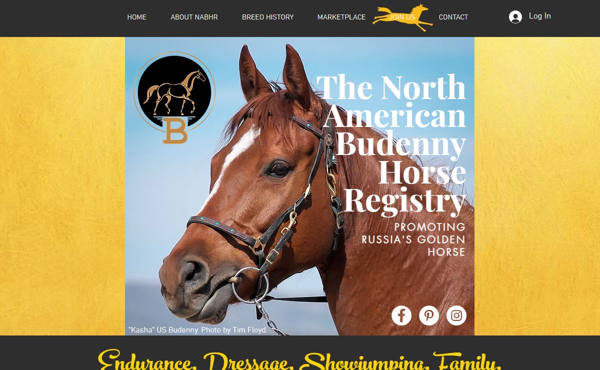 HOME | Budennyhorse