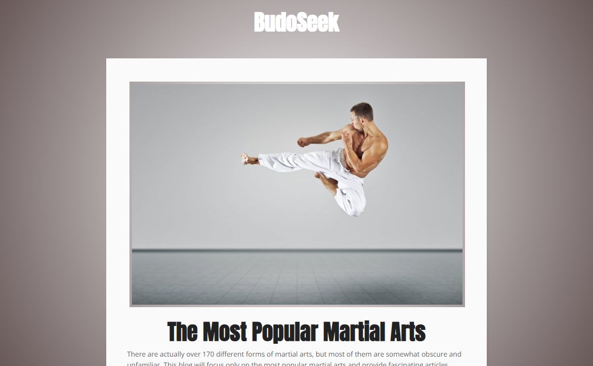 The Most Popular Martial Arts - BudoSeek