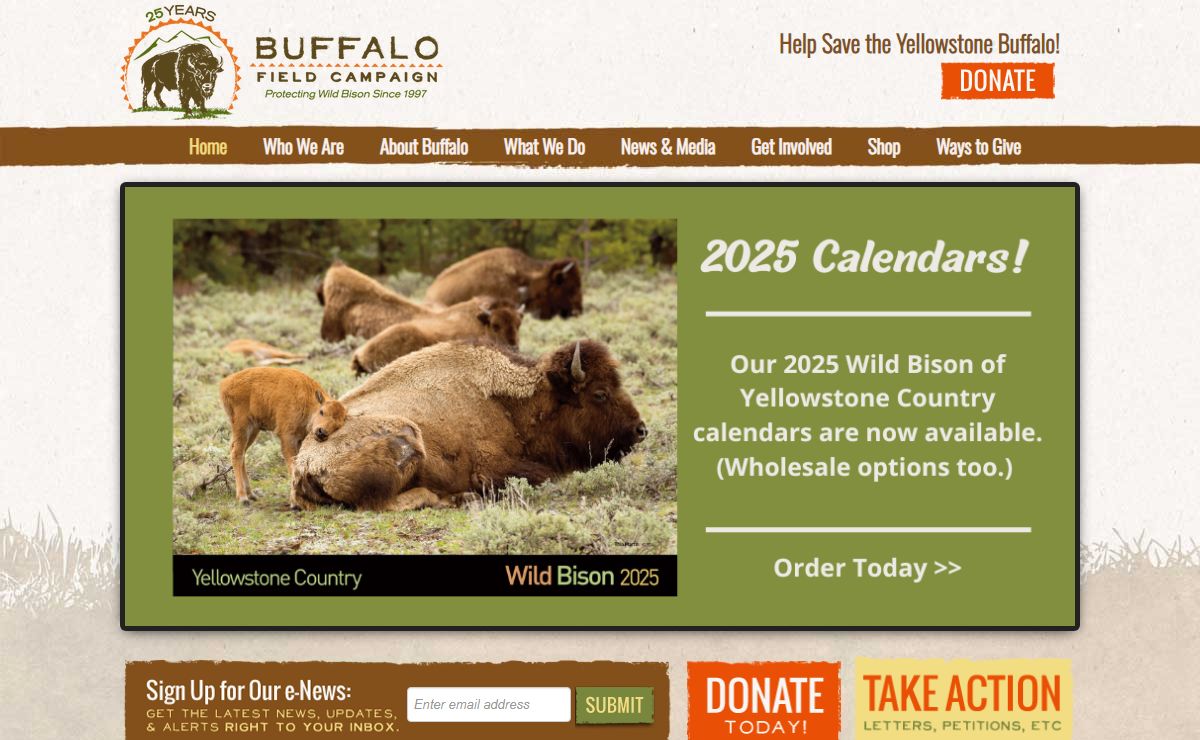 Buffalo Field Campaign: Working to Stop the Yellowstone Bison Slaughter